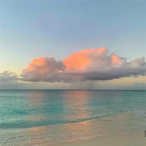 白丝少萝❌❌自慰涶水机
